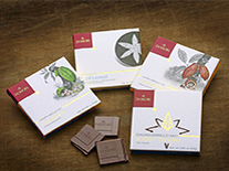 上海品牌營銷策劃公司，品牌咨詢，品牌營銷